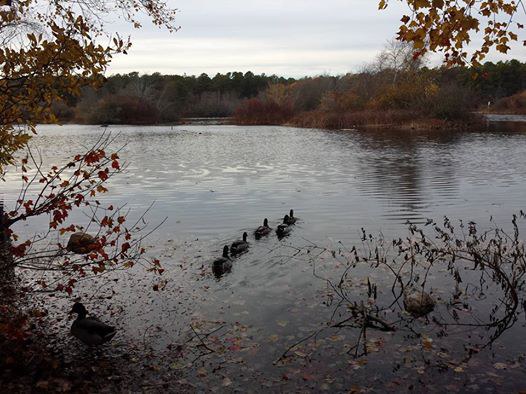 Quogue Wildlife Refuge